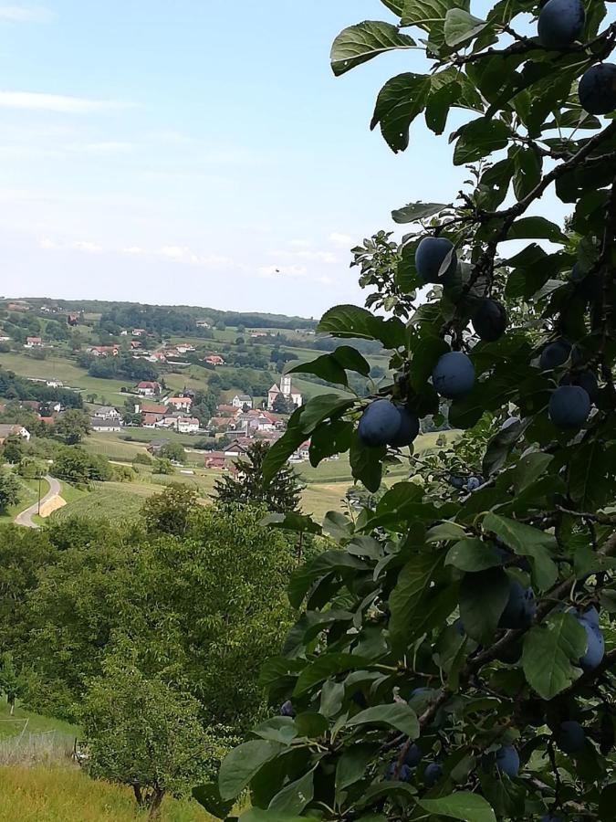 Kronprinz-Rudolf-Hof Unterlamm Bagian luar foto